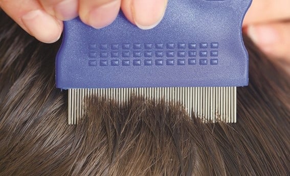 استمرار بيع 