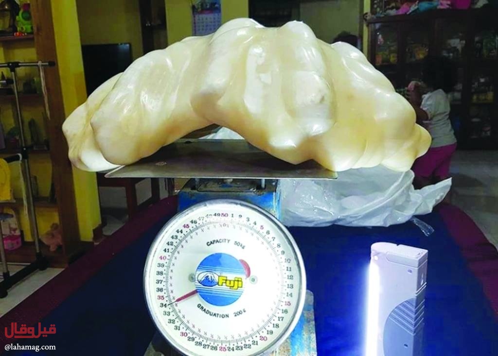 هكذا اكتُشف سرّ اللؤلؤة الأكبر والأغلى ثمناً في العالم! ظلت مخبأة تحت السرير 10 سنوات