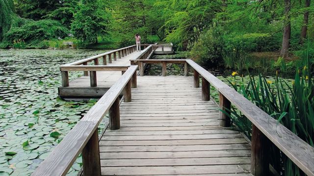 فانكوفر، مقاطعة كولومبيا البريطانية في كندا 