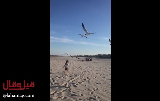 ليس فيلم رعب - فيديو مطاردة طفل من قبل طيور ضخمة يوقف قلوب المتابعين خوفاً!