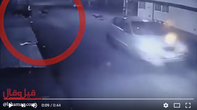 فيديو لأصحاب القلوب القوية.. كادت أن تموت بعد أن هاجمتها الكلاب الضالة ونهشت لحمها!!