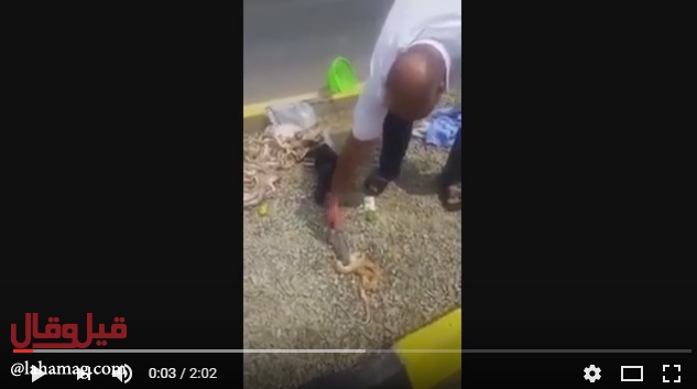 فيديو صادم... لن تصدّقوا محتوى حقيبة أحد الحجاج المصريين!!