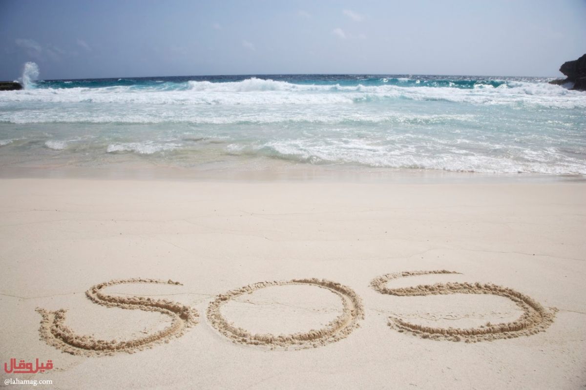 كتبا SOS فتم إنقاذهما من الموت.. إليكم القصة!