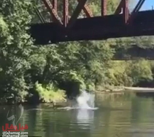 فيديو صادم - لحظة رمي طفل من ارتفاع حوالي 8 أمتار!!