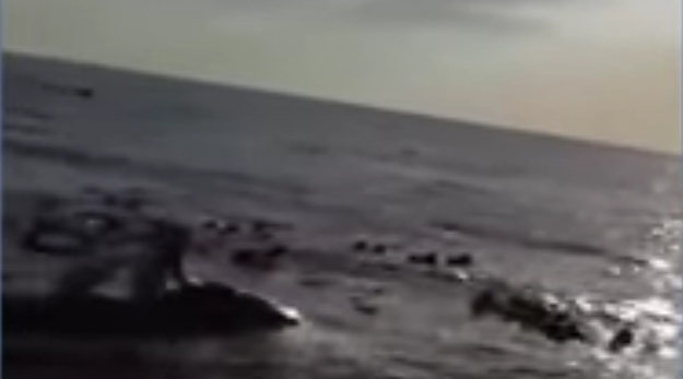 بالفيديو- تفاصيل غرق القارب السياحي في صيدا.. من المسؤول؟ وما علاقة حفل نانسي عجرم؟؟