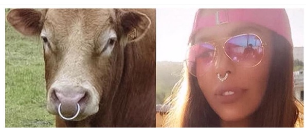 ليلى اسكندر تنشر هذه الصورة الغريبة... اليكم هجومها الصاعق