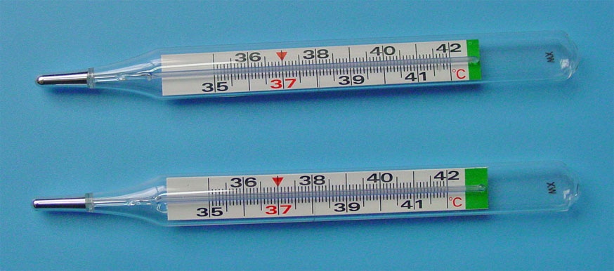 هذا ما يحصل عند لمس الزئبق الموجود في المقياس الحراري؟