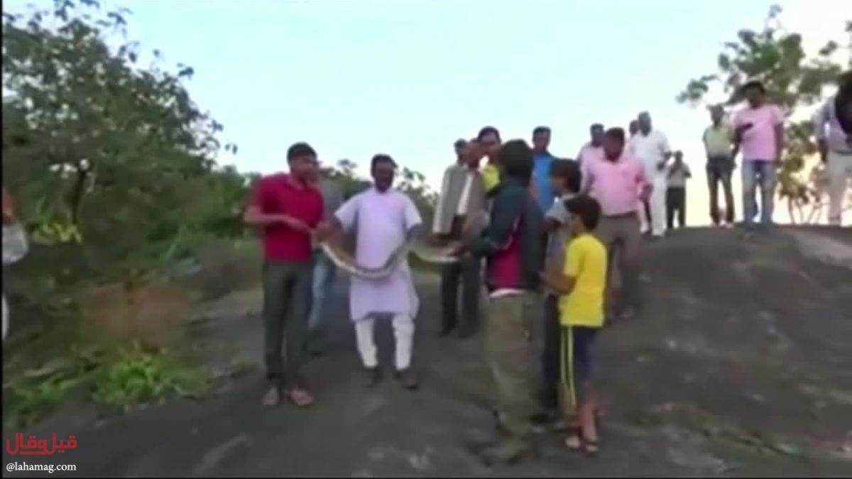 فيديو لأصحاب القلوب القويّة... «سيلفي» مع ثعبان ينتهي بطريقة صادمة