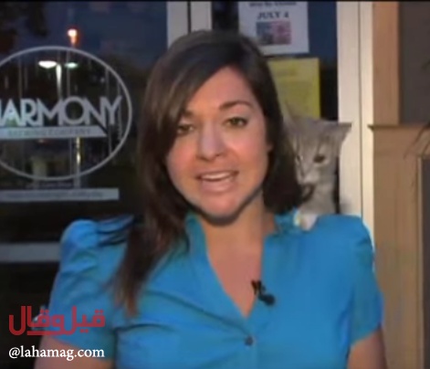 قطّة تقفز على كتف مراسلة مباشرةً على الهواء... شاهدوا ردّ فعلها!!