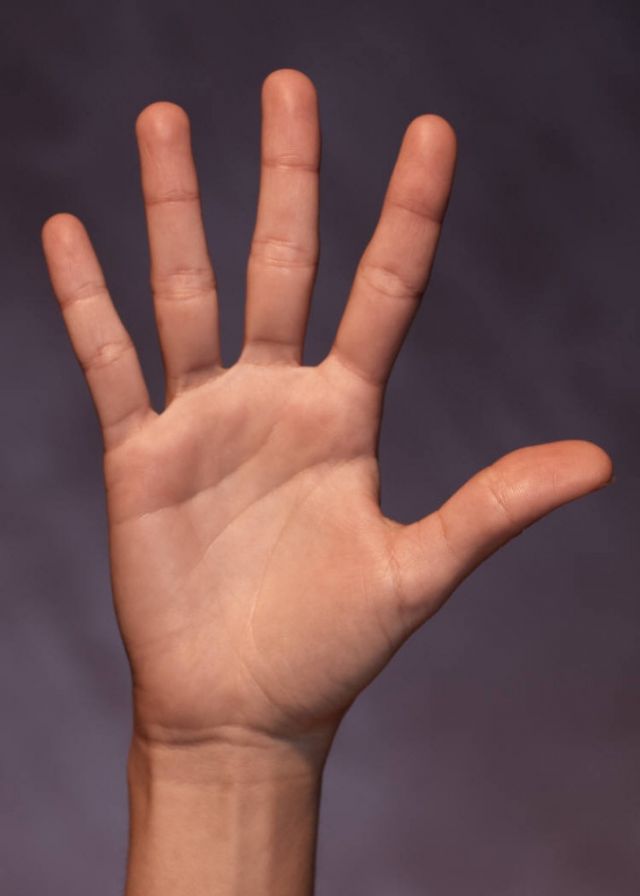 أخيراً اكتشف العلماء لماذا نملك 5 أصابع وليس 6؟؟ اليكم الجواب
