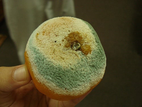 احذروا وضع هذه الاطعمة في الثلاجة.. لهذه الاسباب!