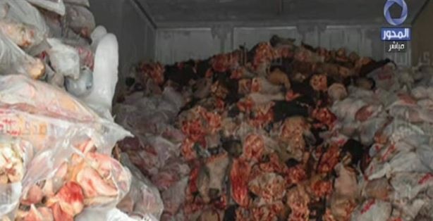 بالفيديو - أزمة اللحوم الفاسدة.. أكثر من نصف الشعب أكل لحم حمير!