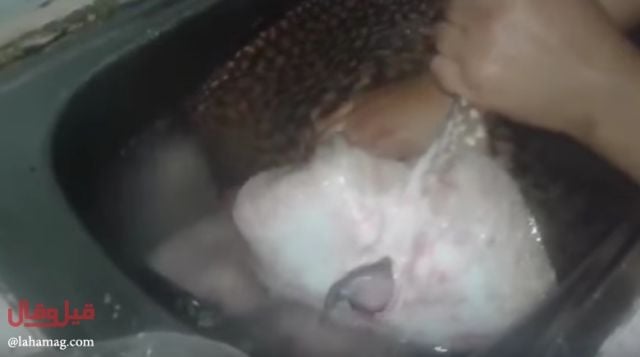 بالفيديو- لن تصدّقوا ماذا وجدت هذه الفتاة داخل بطن سمكة!!