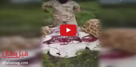 فيديو لا يُصدق - السعودي الذي ذبح لضيوفه زرافه... ماذا عن الفيل!