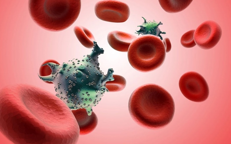 هكذا تتم حماية المتعايش مع 