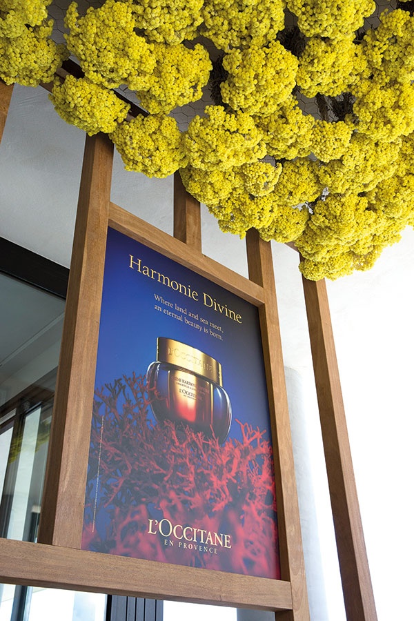 Harmonie Divine de L’Occitane اتحاد الأرض والبحر