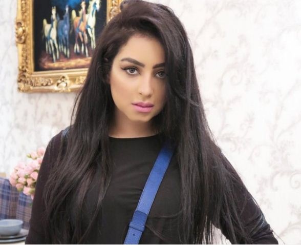 بالفيديو - تصريحات نارية للمهرة البحرينية بعد عودتها إلى البحرين