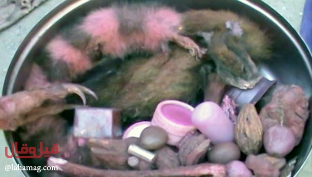 فيديو مروع - قطع رأس وأطراف طفلة وتقديمهم كقربان لاسترضاء الآلهة!