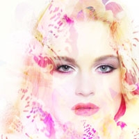 أزهار الأوركيدة