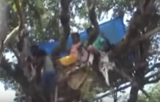 فيديو مدهش - عائلة تعيش حياة طرزان خوفاَ من الفيلة!!