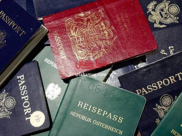 بالصورة- جواز سفر يُشعل الانترنت ويضع صاحبه بموقف محرج بسبب عينيه