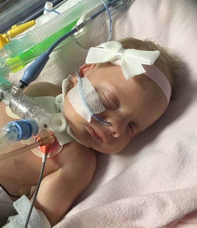 صور مؤثرة - رضيعة تشعل مواقع التواصل بعد وفاتها في أحضان والدتها