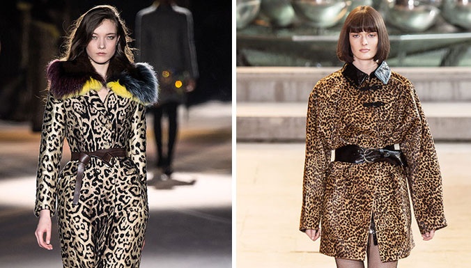 صيحة شرسة Leopard