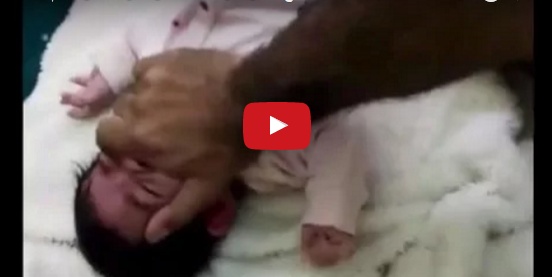 تطورات جديدة والصور الأولى لاستلام والدة المعنفة ابنتها على يد الأب!