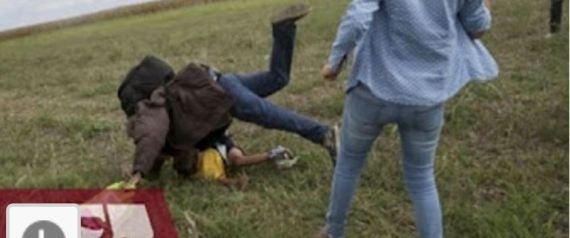 بالفيديو - هل تذكرون اللاجئ الذي ركلته المصورة المجرية.. هكذا أصبح مصيره!