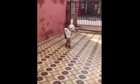 فيديو روعة - طفل يشعل مواقع التواصل.. شاهدوا كيف يتحكم بالكرة!