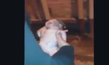 في مصر.. بعد ساعات من ولادتها أم ترمي طفلها في الشارع انتقاماً من زوجها!!