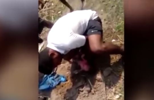 بالفيديو - لقطات مروعة لإنقاذ رضيعة بعد دفنها على قيد الحياة!