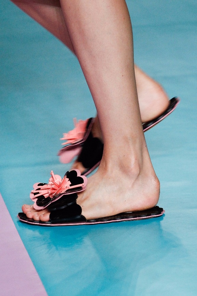 Miu Miu Miu Miu