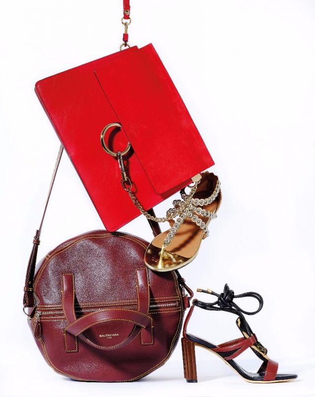 روعة السافاري
