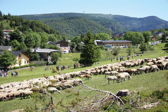 سان ريمي في فرنسا 