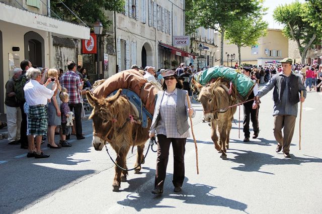 سان ريمي في فرنسا 