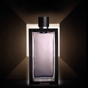 'داندي' و'فوايو'