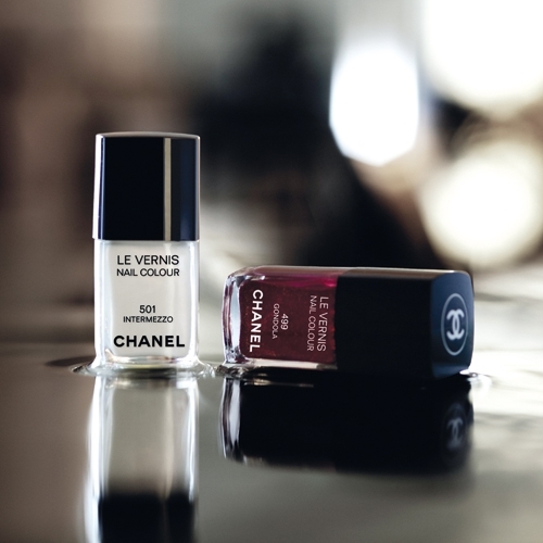 مجموعة البندقية لخريف ٢٠٠٩ من شانيل 