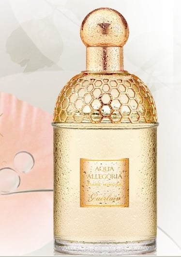 مجموعة عطور Aqua Allegoria  
