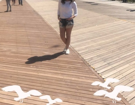 بالصور - نجمة 