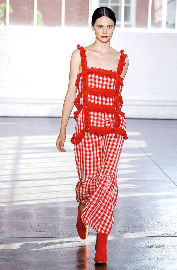 Creatures of Comfort