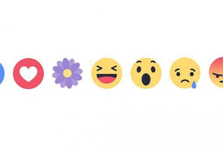 زهرة بنفسجية ميزة جديدة من 