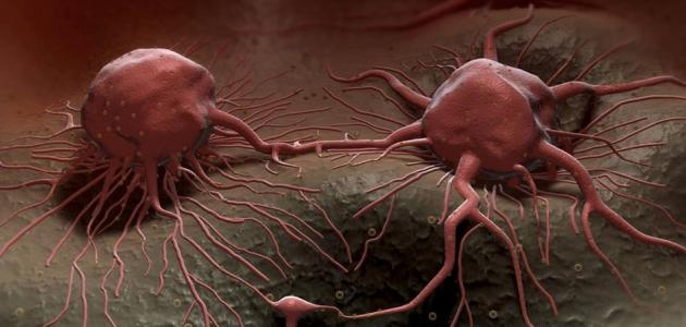 مفاجأة - مكون موجود في منزلكم يساعد على التخلص من مرض السرطان.. لا تترددوا بتناوله!!