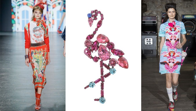 بالصور- هذا الطائر هو ملهم دور الأزياء... هذه قصته