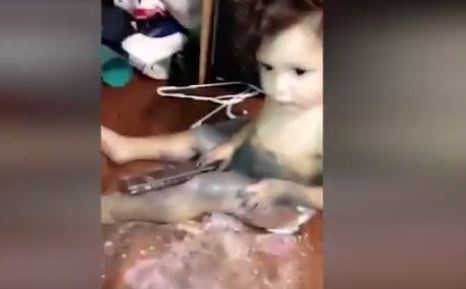 بالفيديو - دخلت إلى الغرفة وانهارت بعد رؤية طفلها.. لن تصدقوا ماذا فعل!