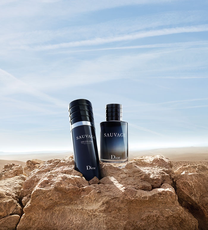 Dior sauvage cool spray best sale