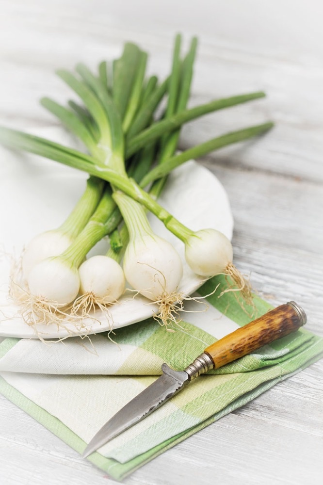 البصل لمحاربة الجراثيم وخفض ضغط الدم