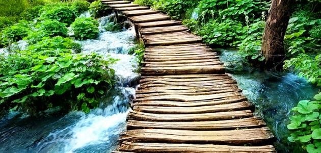 همس- ما أكثرك