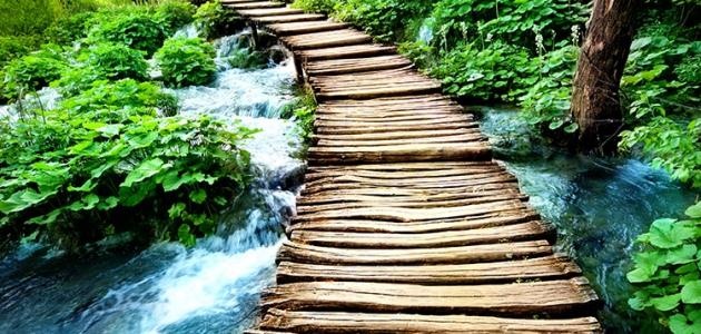 همس- ما أكثرك