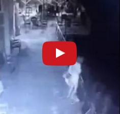 فيديو لأصحاب القلوب القوية - اكتشف خيانة زوجته فرماها من على الشرفة.. وما فعلته به بعد نجاتها مفاجئ!!